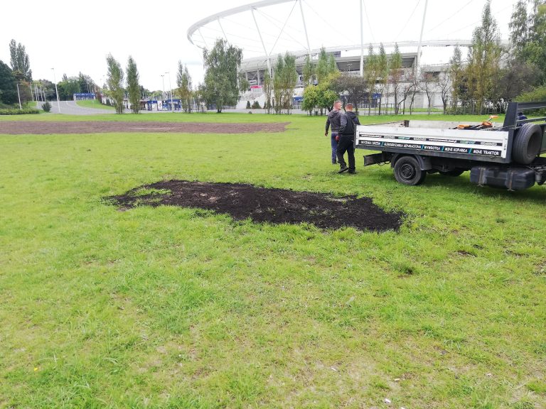 Reklutywacja trawników w Parku Śląskim dla Fest Festival